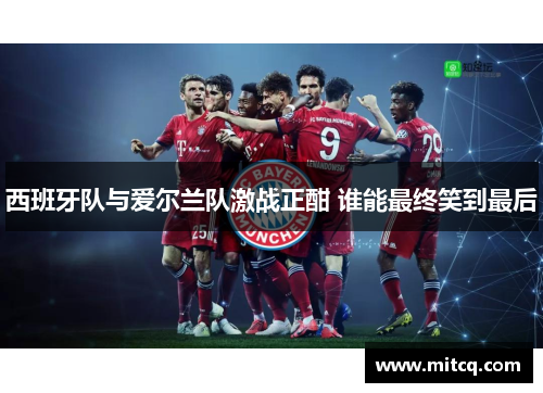 西班牙队与爱尔兰队激战正酣 谁能最终笑到最后
