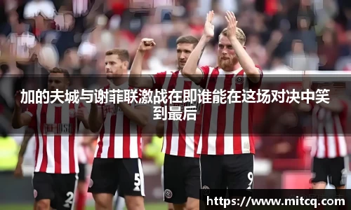 谈球吧加的夫城与谢菲联激战在即谁能在这场对决中笑到最后